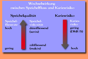 bild_speichelgrafik